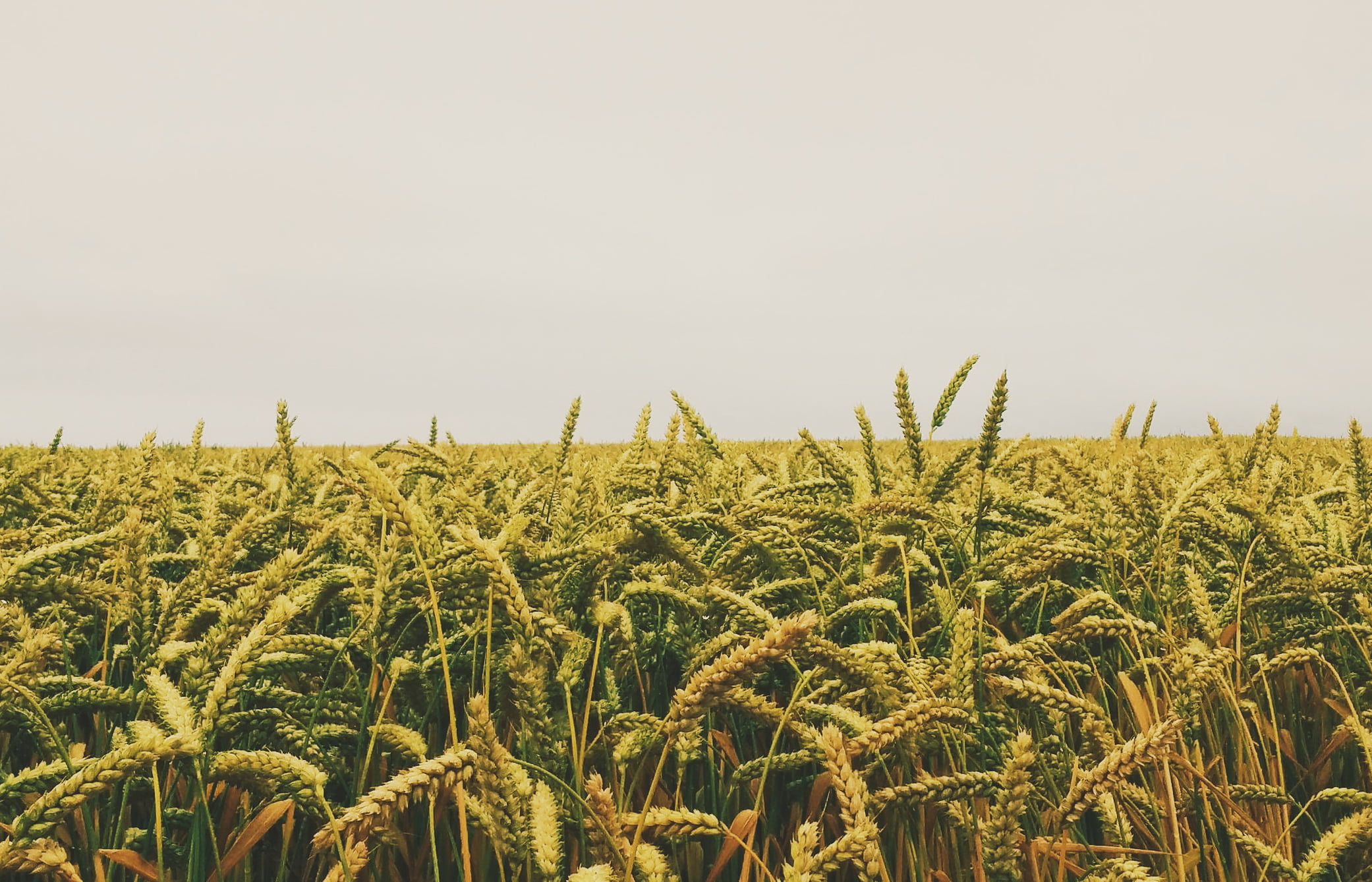 Юрист по земельным спорам в Белоярском. Услуги земельного юриста.
